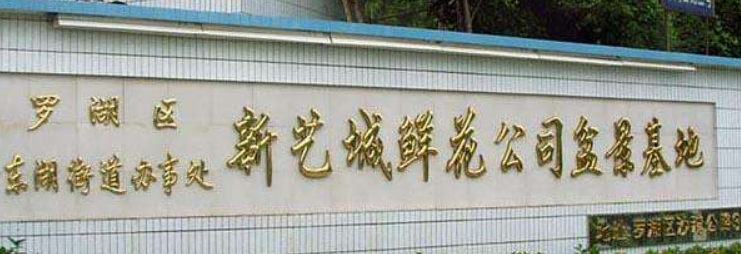 装饰广告门头钛金字